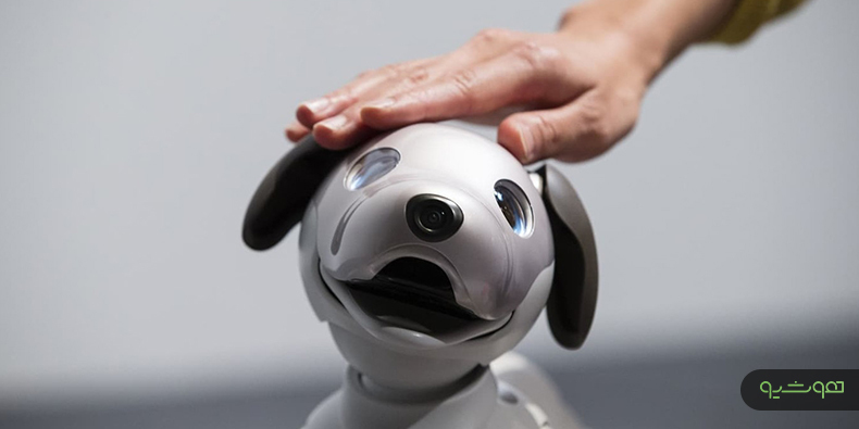 «ربات های اجتماعی» در آینده جای حیوانات خانگی را می‌گیرند
