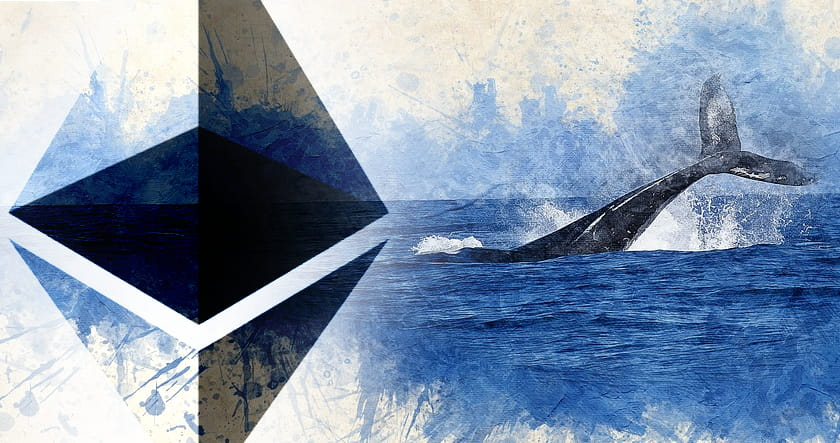 افزایش تعداد نهنگ‌های اتریوم همزمان با رالی صعودی این رمزارز