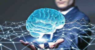 آیا هوش مصنوعی و مغز انسان مسائل را به یک شکل پردازش می ‌کند؟