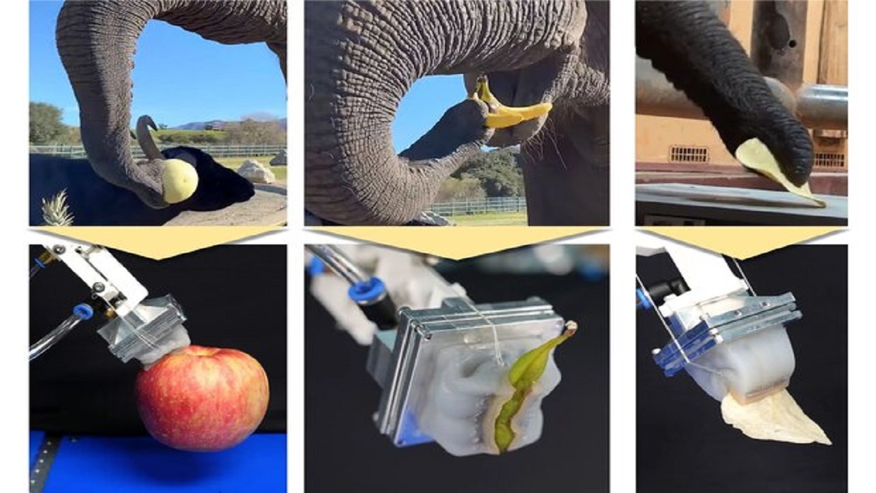 ساخت دست رباتیک با توجه به خرطوم فیل