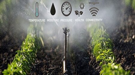 سامانه‌ بومی و هوشمند به یاری مدیریت مصرف آب در کشاورزی آمد