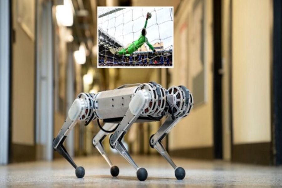 سگ رباتیک رکورد بهترین دروازه‌بان دنیای فوتبال را می‌شکند؟