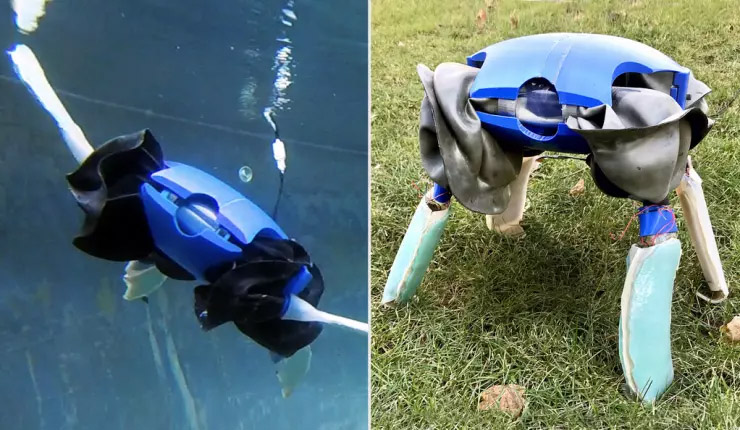 ربات لاک‌پشت که از راه خشکی و دریا سفر می‌کند