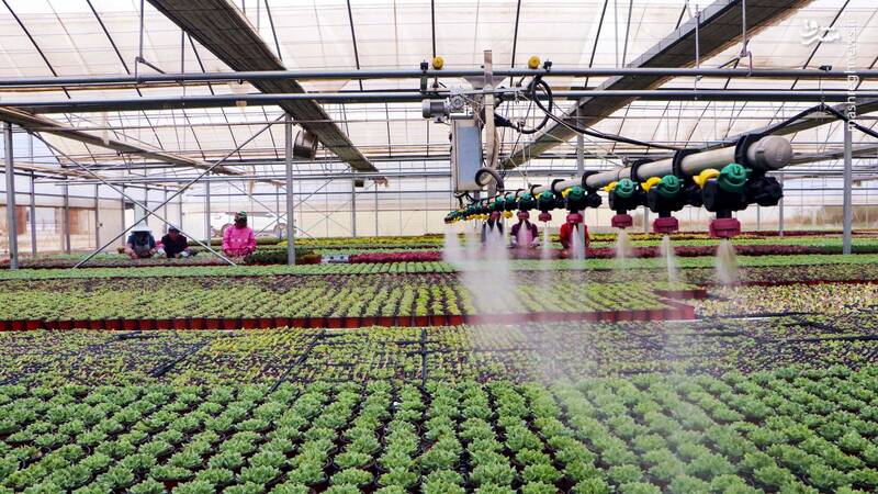 جستار گشایی محیط کشاورزی چین