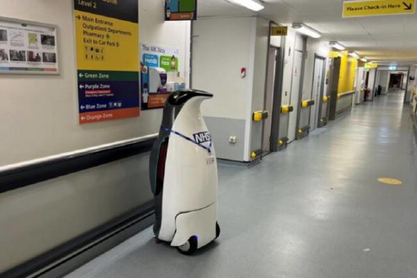 استفاده از «ربات» پنگوئن با مهارت‌های ویژه در بیمارستان