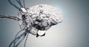 مغز مصنوعی سرانجام به کار افتاد، کدامیک از مشاغل ما در خطر است؟