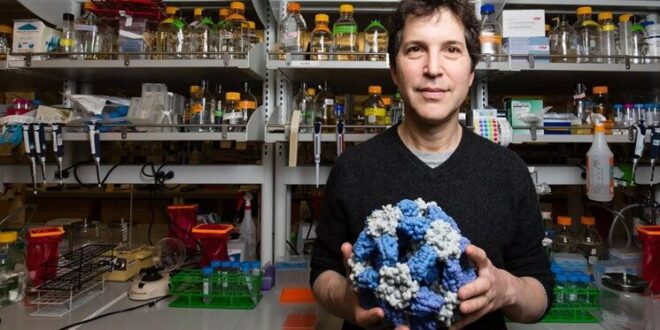 هنر هوش مصنوعی در تولید پروتئین‌ انسانی، گام بلند دانشمندان در جهت بهبود بسیاری از بیماری ها