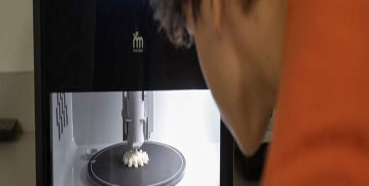 دانشمندان امکان ا ستفاده از چاپگرهای سه بعدی را بررسی می کنند