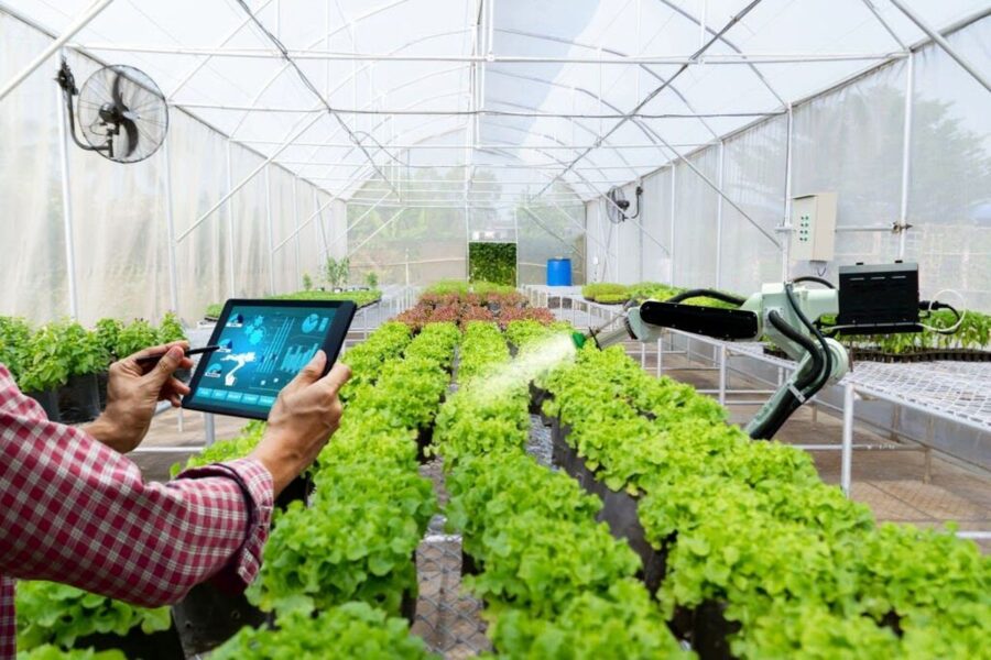 لزوم استفاده از هوش مصنوعی و IT در بخش کشاورزی