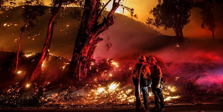 کمک هوش مصنوعی به شناسایی آتش‌سوزی‌ جنگل