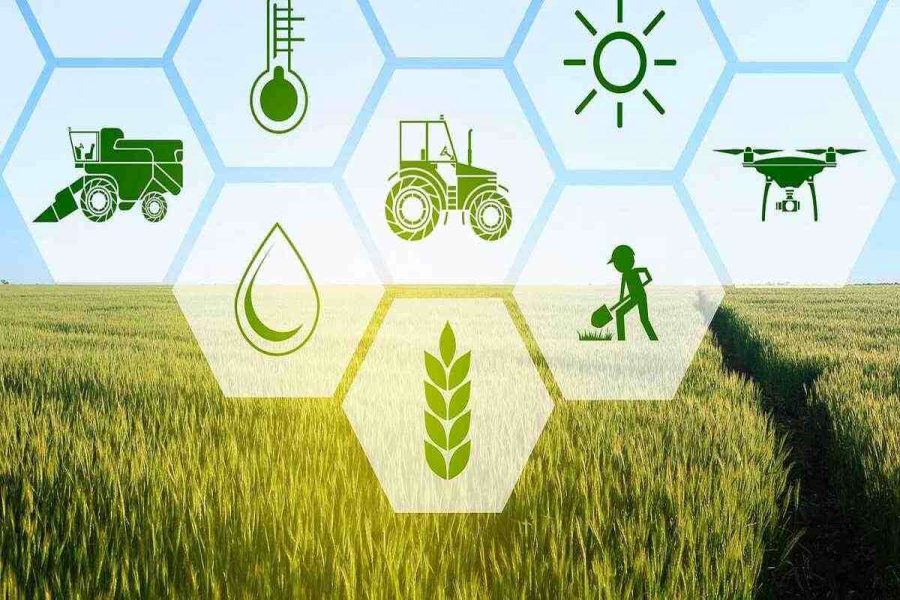 انقلاب در کشاورزی با استفاده از NFT های کاربردی، عصر جدیدی برای کشاورزان و مصرف‌کنندگان