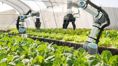 مزرعه رباتیک پیشرفته شرکت پلنتی (Plenty) کشاورزی سنتی را دگرگون می‌کند