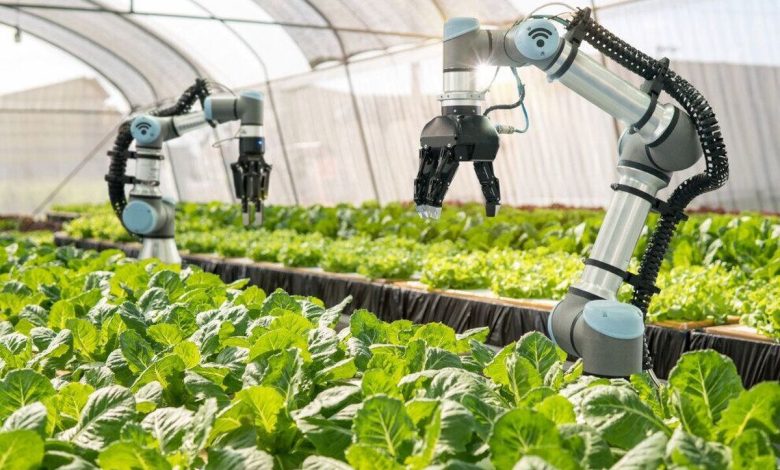 مزرعه رباتیک پیشرفته شرکت پلنتی (Plenty) کشاورزی سنتی را دگرگون می‌کند