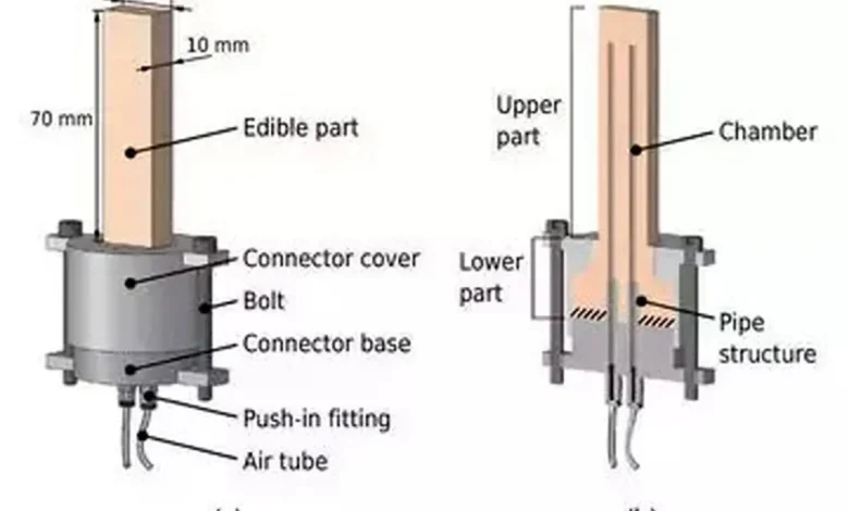 رباتیک خوردنی در ژاپن