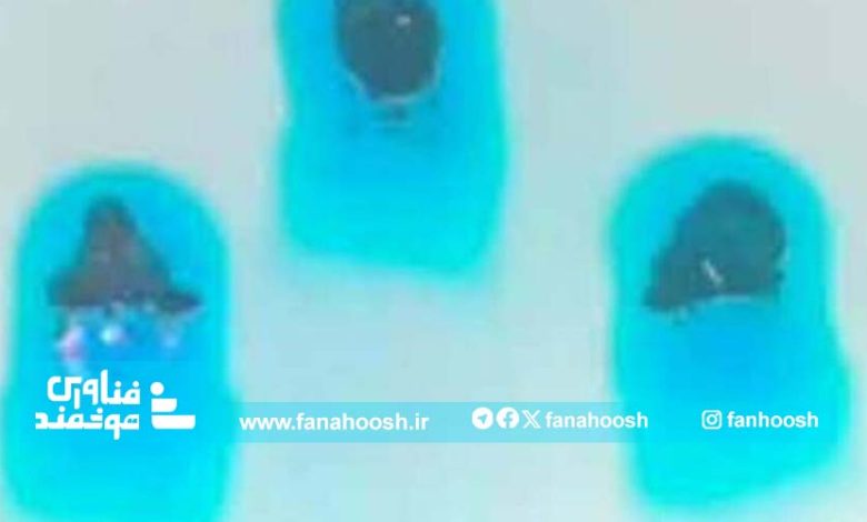 دارورسانی با ربات عروس دریایی ممکن می‌شود