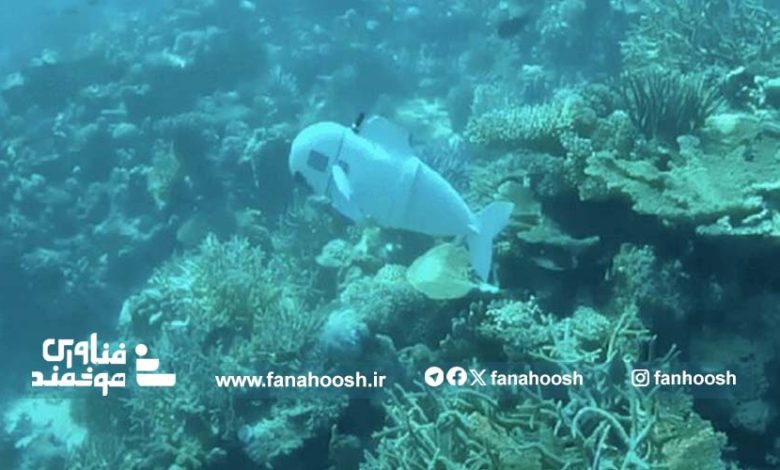 ماهی رباتیک «DNA» محیطی اقیانوس‌ها را جمع‌آوری می‌کند