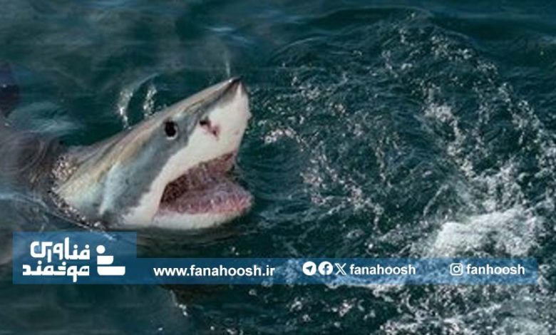 پهپادهای مجهز به هوش مصنوعی «چشم کوسه» به میدان آمدند