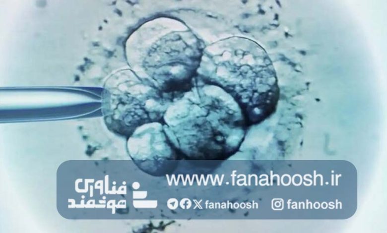 تولد نخستین نوزاد با لقاح مصنوعی تماما رباتیک