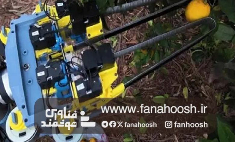 این ربات می‌تواند کار چیدن میوه‌ها را انجام دهد