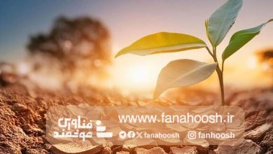 راهکارهای هوش مصنوعی نویدبخش پیش‌بینی و مدیریت خشکسالی