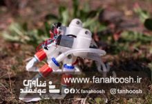 این ربات نرم به مغز، قطعات الکترونیکی یا هوش مصنوعی نیاز ندارد