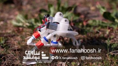 این ربات نرم به مغز، قطعات الکترونیکی یا هوش مصنوعی نیاز ندارد