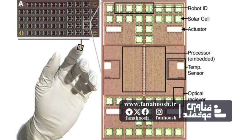 ربات‌های میکرونی هوشمند؛ جراحان آینده در درون بدن انسان